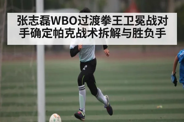 张志磊WBO过渡拳王卫冕战对手确定帕克战术拆解与胜负手